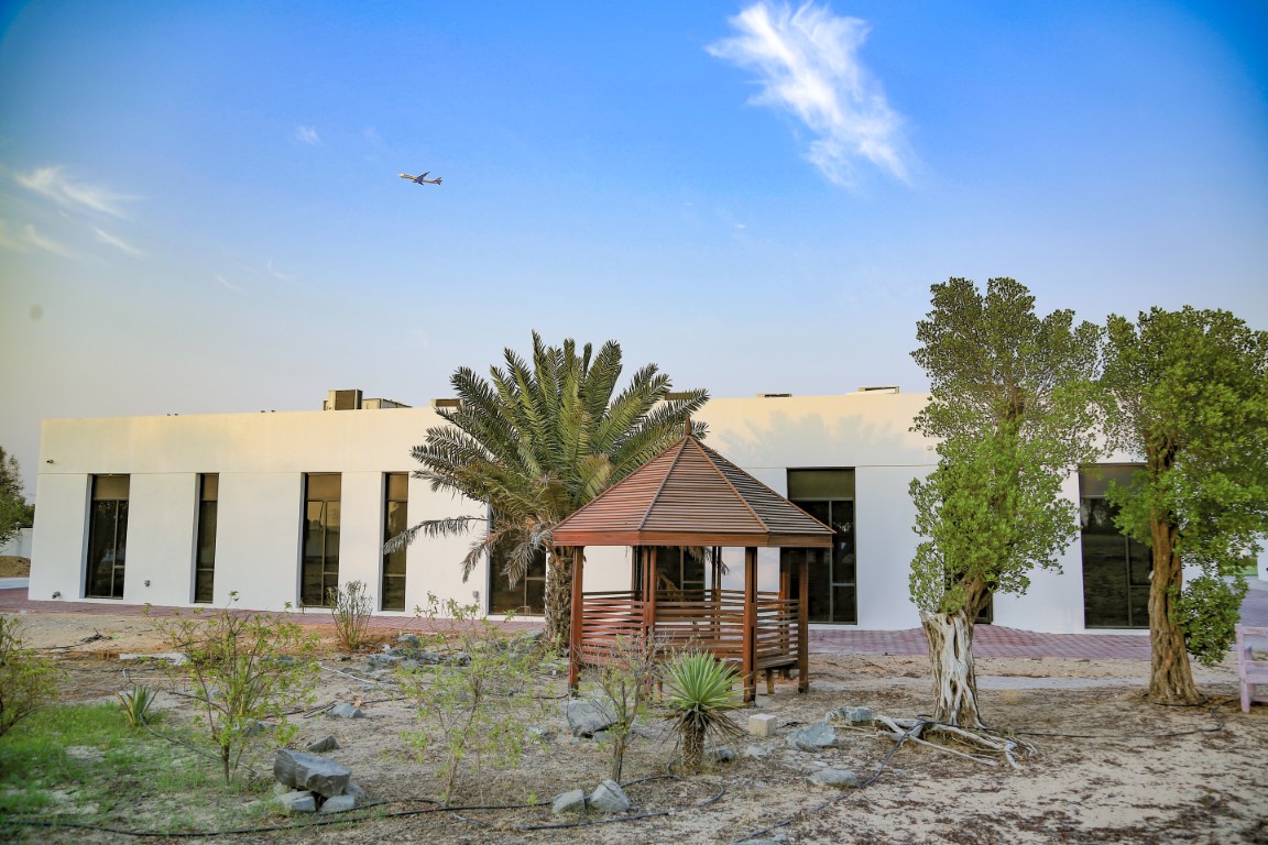 Accommodation